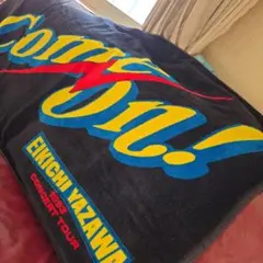 2026年最新】矢沢永吉スペシャルビーチタオルの人気アイテム - メルカリ