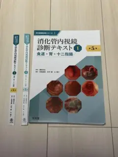 2026年最新】消化管内視鏡の人気アイテム - メルカリ