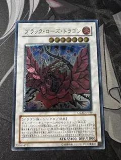 2026年最新】レリーフ ブラックローズドラゴンの人気アイテム - メルカリ