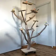 2026年最新】天然木バードジムの人気アイテム - メルカリ