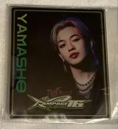 2026年最新】山本彰吾 パネルの人気アイテム - メルカリ