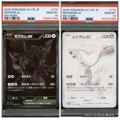 2026年最新】レシラム ゼクロム 連番の人気アイテム - メルカリ