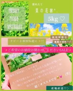 2026年最新】限定値下げの人気アイテム - メルカリ