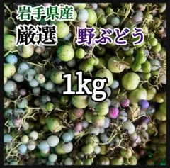 2026年最新】ウマブドウの人気アイテム - メルカリ