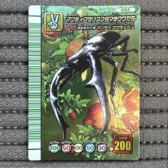 2026年最新】マンディブラリスフタマタクワガタ5周年の人気アイテム