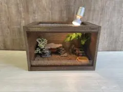 2026年最新】FandK爬虫類木製ケージの人気アイテム - メルカリ