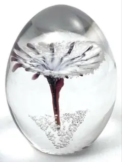 2026年最新】ドーム DAUMの人気アイテム - メルカリ