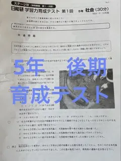 2026年最新】日能研 育成テスト 5年の人気アイテム - メルカリ