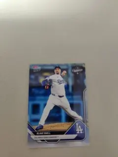 2026年最新】ブレイク・スネルの人気アイテム - メルカリ