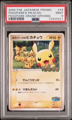2026年最新】ポケパークのピカチュウ psa9の人気アイテム - メルカリ
