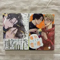 2026年最新】bl漫画まとめ売りの人気アイテム - メルカリ