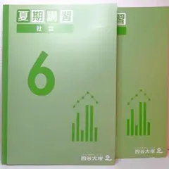 2026年最新】6年 夏期講習 四谷大塚の人気アイテム - メルカリ