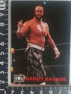 2026年最新】ランディ・サベージの人気アイテム - メルカリ