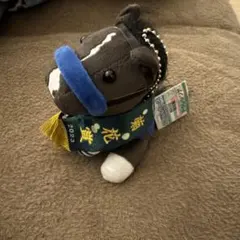 2026年最新】ドゥレッツァ アイドルホースの人気アイテム - メルカリ