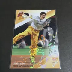 2026年最新】新浜レオン トレカの人気アイテム - メルカリ