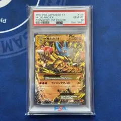2026年最新】ルカリオex psa10の人気アイテム - メルカリ