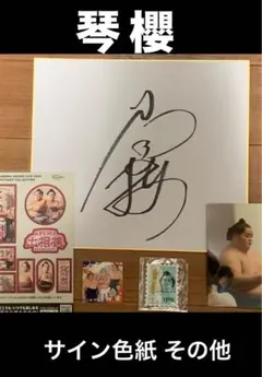 2026年最新】琴櫻 サインの人気アイテム - メルカリ
