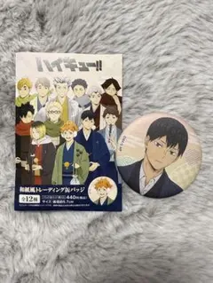 2026年最新】ハイキュー!! 和紙風トレーディング缶バッジの人気