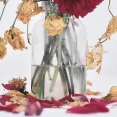 2026年最新】唾奇 レコードの人気アイテム - メルカリ