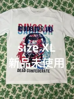 2026年最新】DINOSAUR jr ポスターの人気アイテム - メルカリ