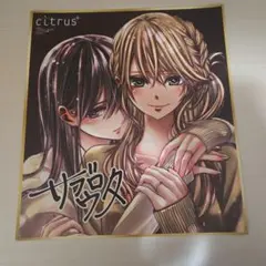 2026年最新】citrus サブロウタ サインの人気アイテム - メルカリ