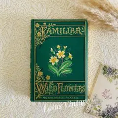 2026年最新】familiar wild flowersの人気アイテム - メルカリ