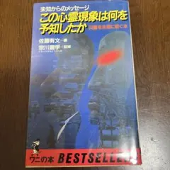 2026年最新】佐藤有文の人気アイテム - メルカリ