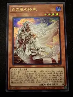 2026年最新】白き竜の落胤の人気アイテム - メルカリ