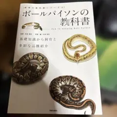 2026年最新】ボールパイソン 本の人気アイテム - メルカリ
