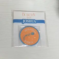 2026年最新】seventeen ペンライトアクセサリー ジョシュアの人気