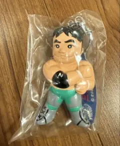 2026年最新】三沢光晴 フィギュアの人気アイテム - メルカリ