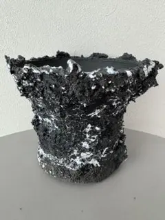 2026年最新】gOat 鉢の人気アイテム - メルカリ