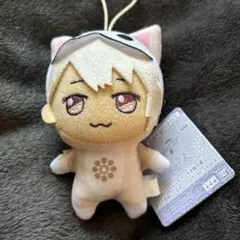 2026年最新】棗巳波 ぬいぐるみの人気アイテム - メルカリ