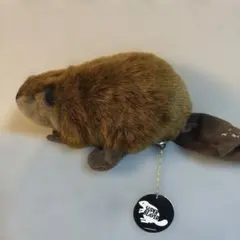 2026年最新】SUPERBEAVER×吉徳の人気アイテム - メルカリ