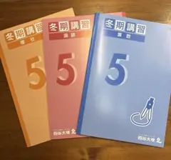 2026年最新】四谷大塚 冬期講習 4年の人気アイテム - メルカリ