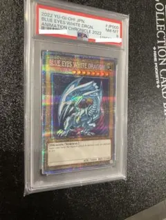 2026年最新】青眼の白龍 初期 psa8の人気アイテム - メルカリ