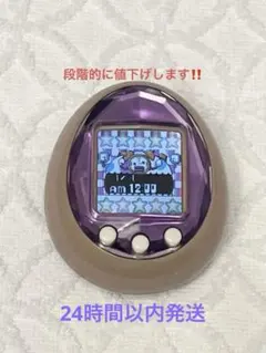 2026年最新】たまごっちIDの人気アイテム - メルカリ