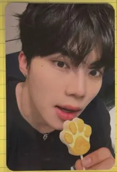 2026年最新】サノク トレカ zb1の人気アイテム - メルカリ