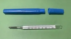 2026年最新】水銀体温計の人気アイテム - メルカリ