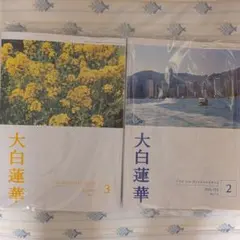 2026年最新】大白蓮華の人気アイテム - メルカリ