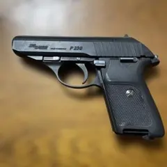 2026年最新】KSC SIG P230 ジャンクの人気アイテム - メルカリ