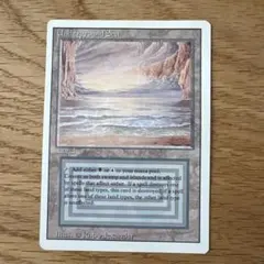 2026年最新】デュアルランドの人気アイテム - メルカリ