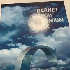 2026年最新】garnet crow premium boxの人気アイテム - メルカリ