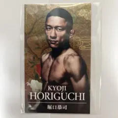 2026年最新】堀口恭司 カードの人気アイテム - メルカリ