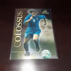 2026年最新】futera platinumの人気アイテム - メルカリ