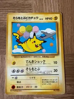 そらをとぶピカチュウ_ANA 「ジェットでゲットだ！Wチャンス