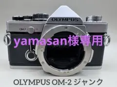 2026年最新】olympus om-1の人気アイテム - メルカリ