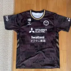 2026年最新】名古屋ダイヤモンドドルフィンズ シューティングシャツの