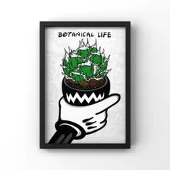 2026年最新】塊根植物 ポスターの人気アイテム - メルカリ