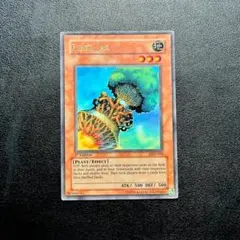 2026年最新】ファイバーポッドの人気アイテム - メルカリ